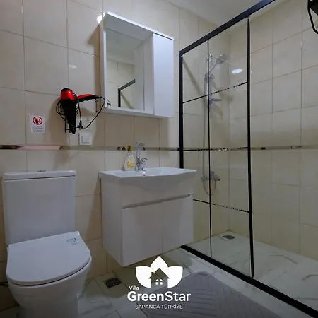 Villagreenstar *